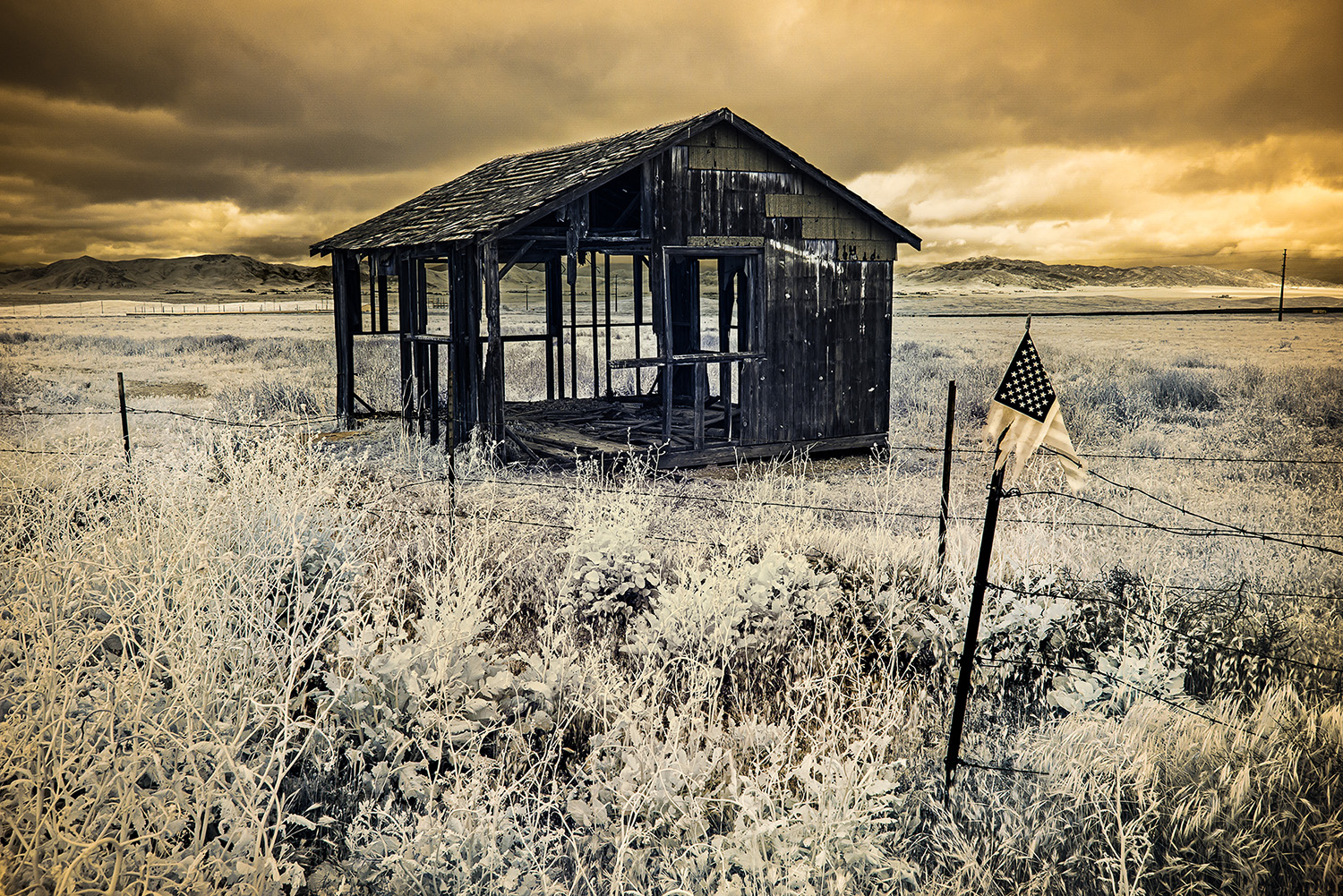 Rift: Unearthing the Divide Along the San Andreas Fault